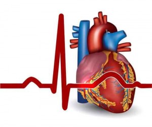 exercise your heart